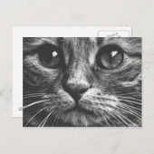 Kat Face Eyes Black en White Cute Photo Briefkaart (Voorkant / Achterkant)