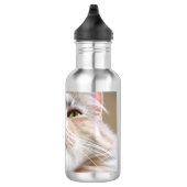 Kat Face Waterfles (Rechts)