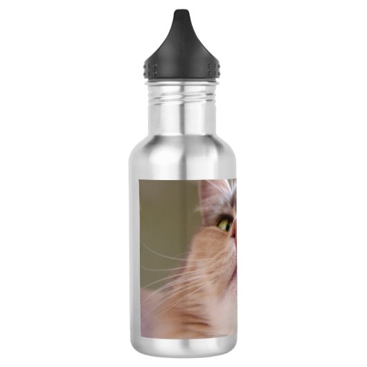 Kat Face Waterfles (Links)