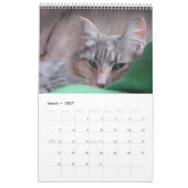 Kat faces kalender (Mar 2027)