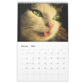 Kat faces kalender (Feb 2026)