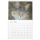 Kat faces kalender (Jan 2026)