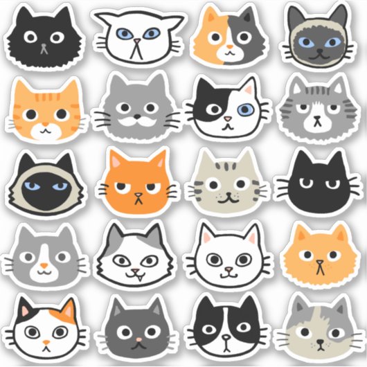 Kat faces | Kute, Funny en Annoyed Cats Sticker (Voorkant)