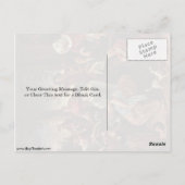 Kat familie door Steen Jan Briefkaart (Achterkant)