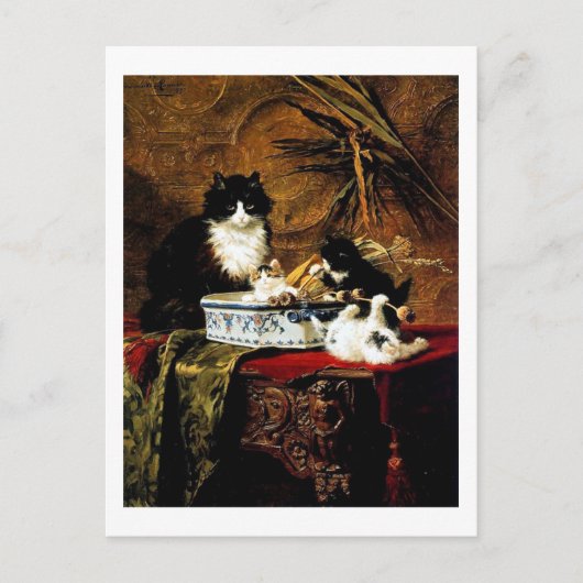 Kat Family, Henriëtte Ronner-Knip Briefkaart (Voorkant)