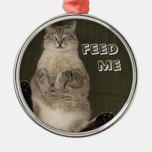Kat "FEED ME" Ornament (Voorkant)