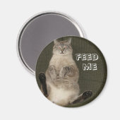 Kat "FEED ME" Ronde magneet (Voorkant / Achterkant)