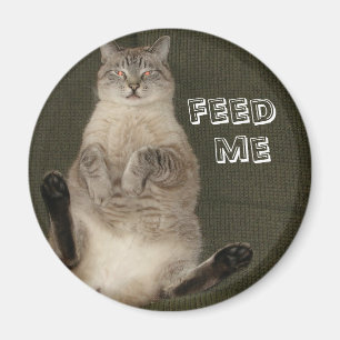 Kat "FEED ME" Ronde magneet