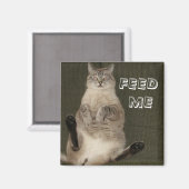 Kat "FEED ME" Square Magnet (Voorkant / Achterkant)