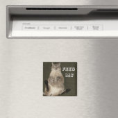 Kat "FEED ME" Square Magnet (Insitu (Vaatwasser))