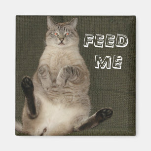 Kat "FEED ME" Square Magnet