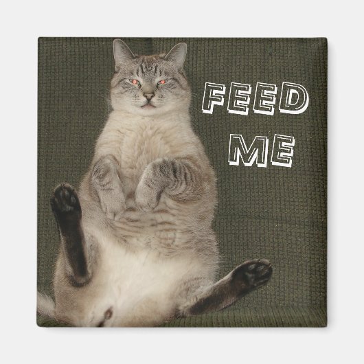 Kat "FEED ME" Square Magnet (Voorkant)