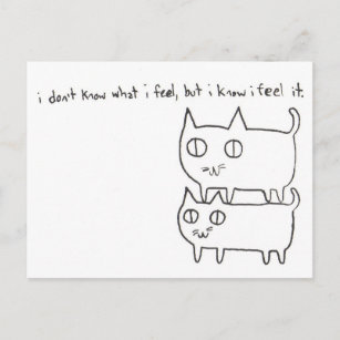 Kat Feelings Briefkaart