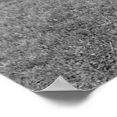 Kat Fight, begin jaren '00 Poster (Hoek)