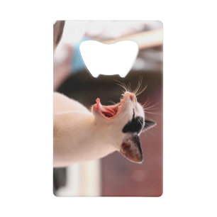 Kat flesopening creditkaart flessenopener