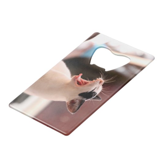 Kat flesopening creditkaart flessenopener (Achterkant Gekanteld)