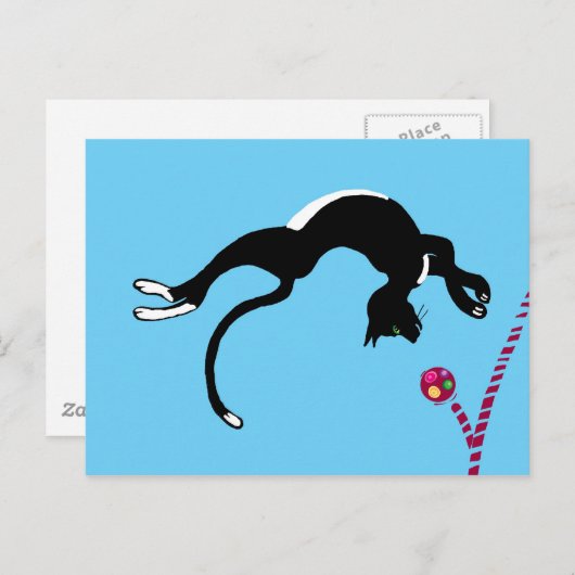 Kat flip briefkaart (Voorkant / Achterkant)