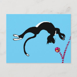 Kat flip briefkaart