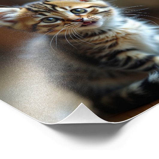 Kat Foto Afdruk (Hoek)