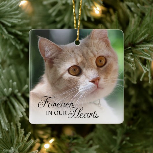Kat Foto Altijd in Onze Hart Keramisch Ornament (Boom)