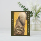 Kat Foto Briefkaart (Staand voorkant)