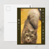 Kat Foto Briefkaart (Voorkant / Achterkant)