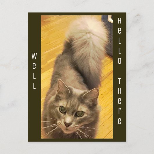 Kat Foto Briefkaart (Voorkant)