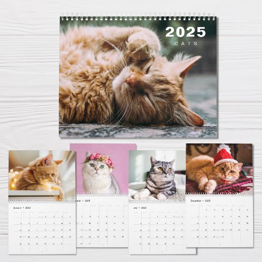 Kat Foto Collage Modern 2025 Agenda Kalender