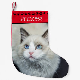 Kat Foto en naam | Rode zwarte verf Kleine Kerstsok