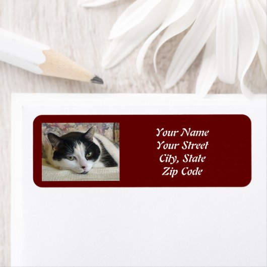 Kat Foto Etiket (Insitu)