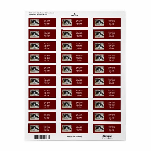 Kat Foto Etiket (Full Sheet)