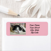 Kat Foto Etiket (Insitu)