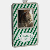 Kat Foto Groene Strepen Ingelijst Kerst Ornament (Rechts)