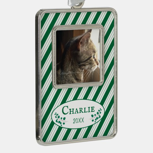 Kat Foto Groene Strepen Ingelijst Kerst Ornament (Rechts)