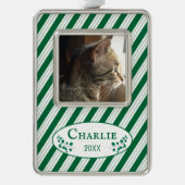 Kat Foto Groene Strepen Ingelijst Kerst Ornament (Voorkant)