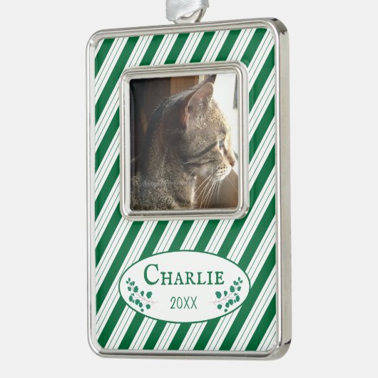 Kat Foto Groene Strepen Ingelijst Kerst Ornament (Links)