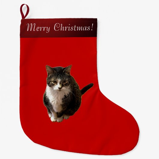 Kat Foto Grote Kerstsok (Voorkant)
