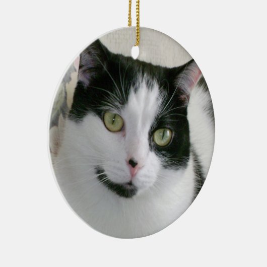 Kat Foto Keramisch Ornament (Rechts)