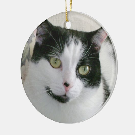 Kat Foto Keramisch Ornament (Links)