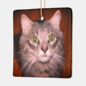 Kat Foto Keramisch Ornament (Links)