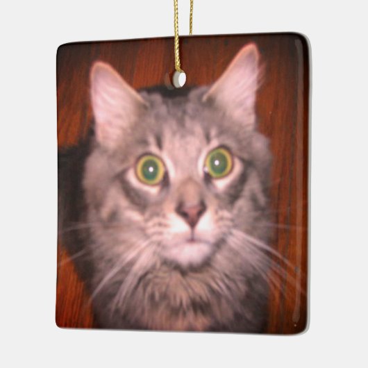 Kat Foto Keramisch Ornament (Links)