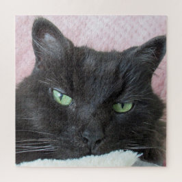Kat Foto Legpuzzel