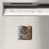 Kat Foto Magneet (Insitu (Vaatwasser))