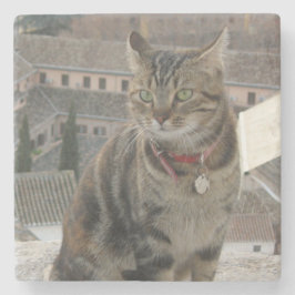 Kat Foto Marmeren Steen Onderzetter