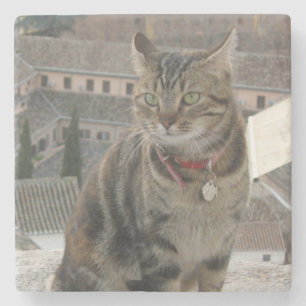 Kat Foto Marmeren Steen Onderzetter