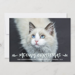 Kat Foto   Meowy Kerstmis Feestdagenkaart