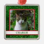 Kat Foto Metalen Ornament (Voorkant)