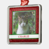 Kat Foto Metalen Ornament (Links)