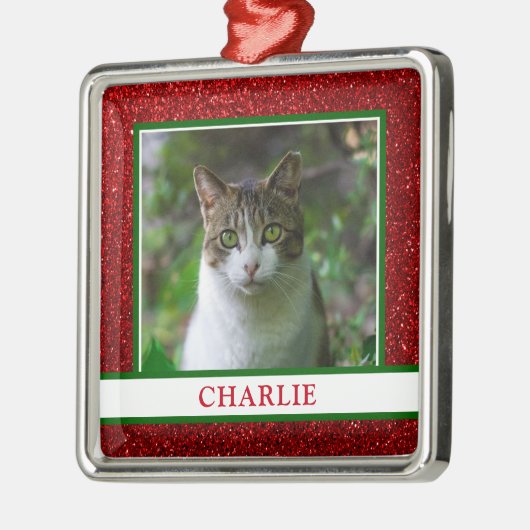 Kat Foto Metalen Ornament (Links)