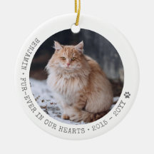 Kat Foto Pet Passing Memorial Personalized